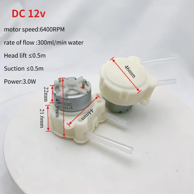 Micro Peristaltische Pomp DC 1 - Mini Peristaltic Pump 12V recensie en prijs