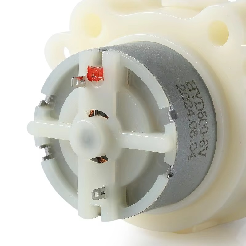 Micro Peristaltische Pomp DC 1 - Mini Peristaltic Pump 12V recensie en prijs